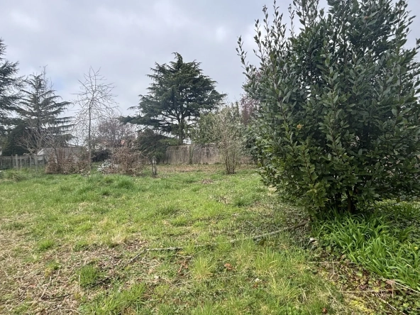 Terrain constructible à vendre à Chemillé - Grande liberté de projet