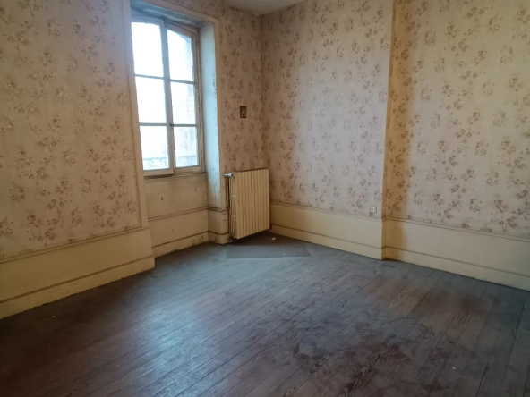 Belle maison bourgeoise à rénover au centre de Vierzon avec jardin etgarage 