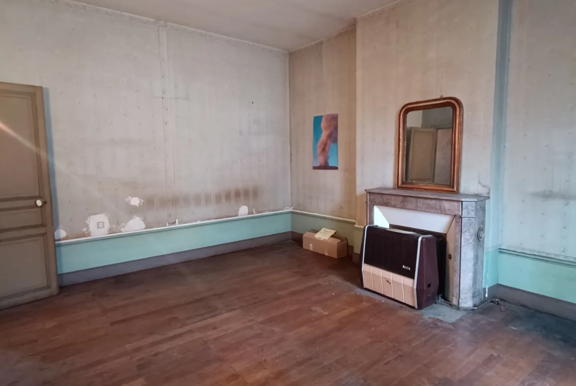 Belle maison bourgeoise à rénover au centre de Vierzon avec jardin etgarage 