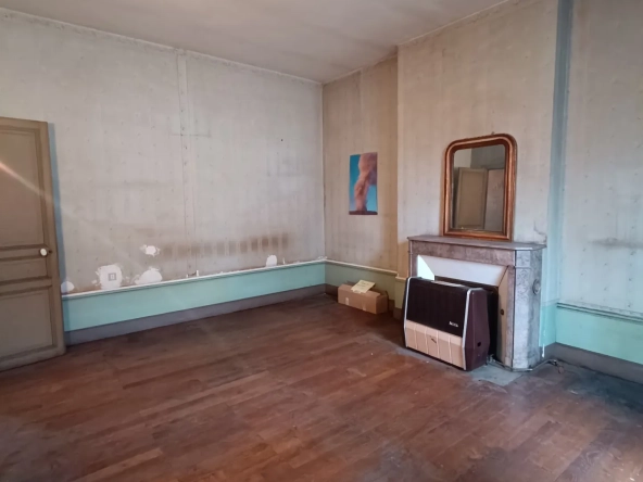 Belle maison bourgeoise à rénover au centre de Vierzon avec jardin etgarage 