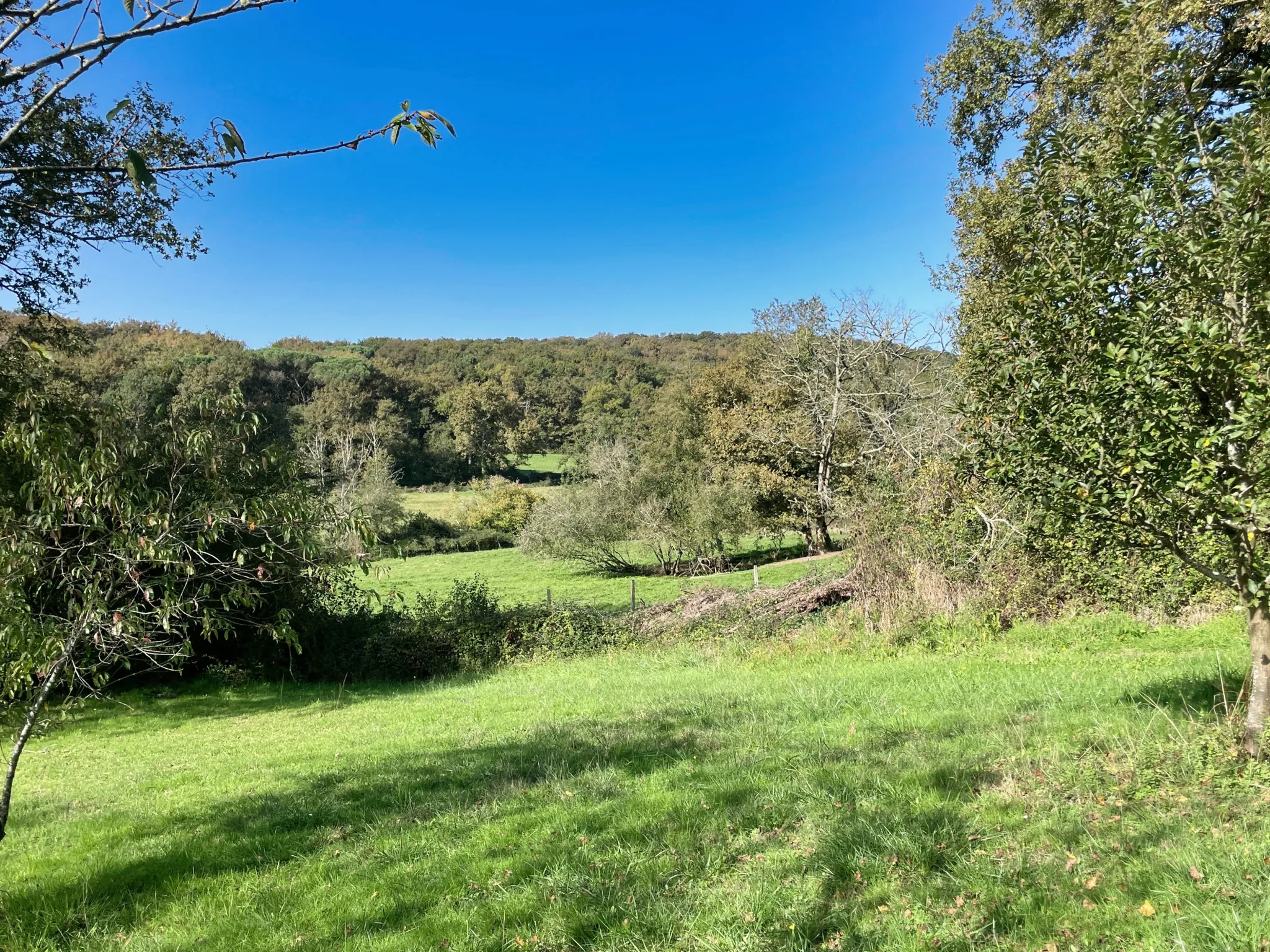 Belle maison avec vue sur les Pyrénées à Arblade-le-Bas 