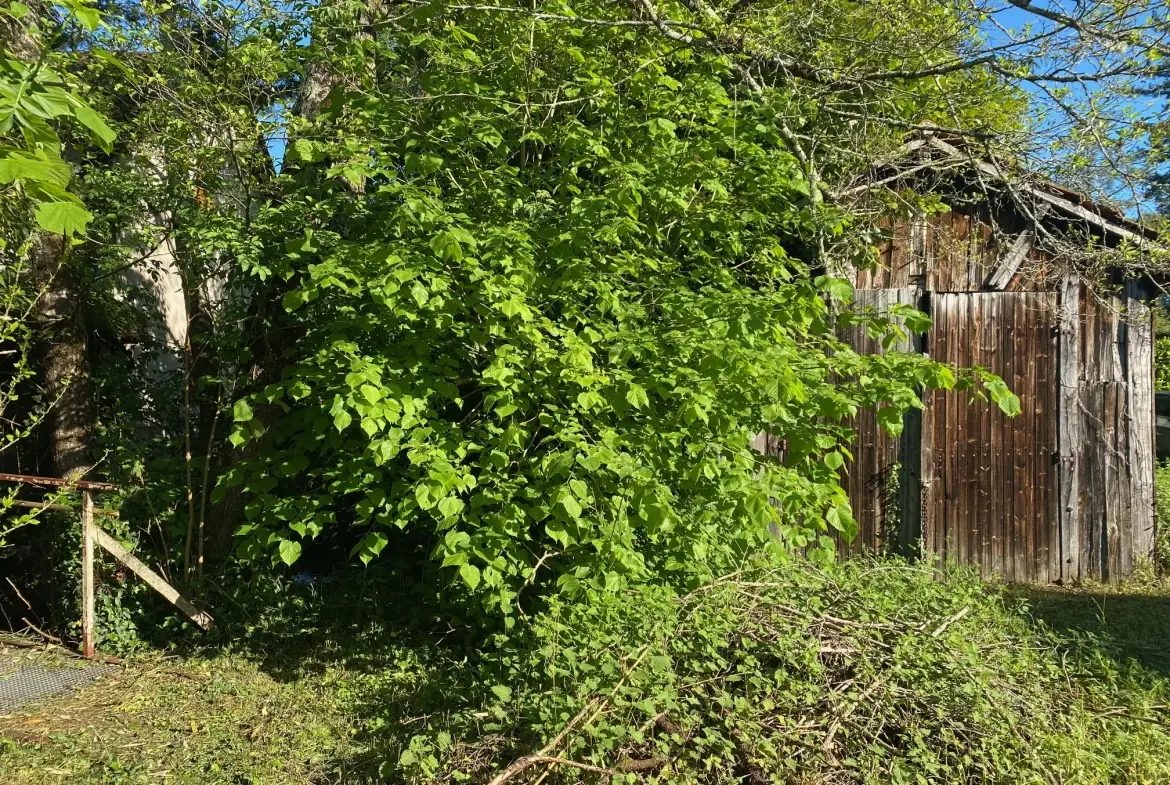 Charmante maison en pierre avec jardin à Manzac-sur-Vern en Dordogne 