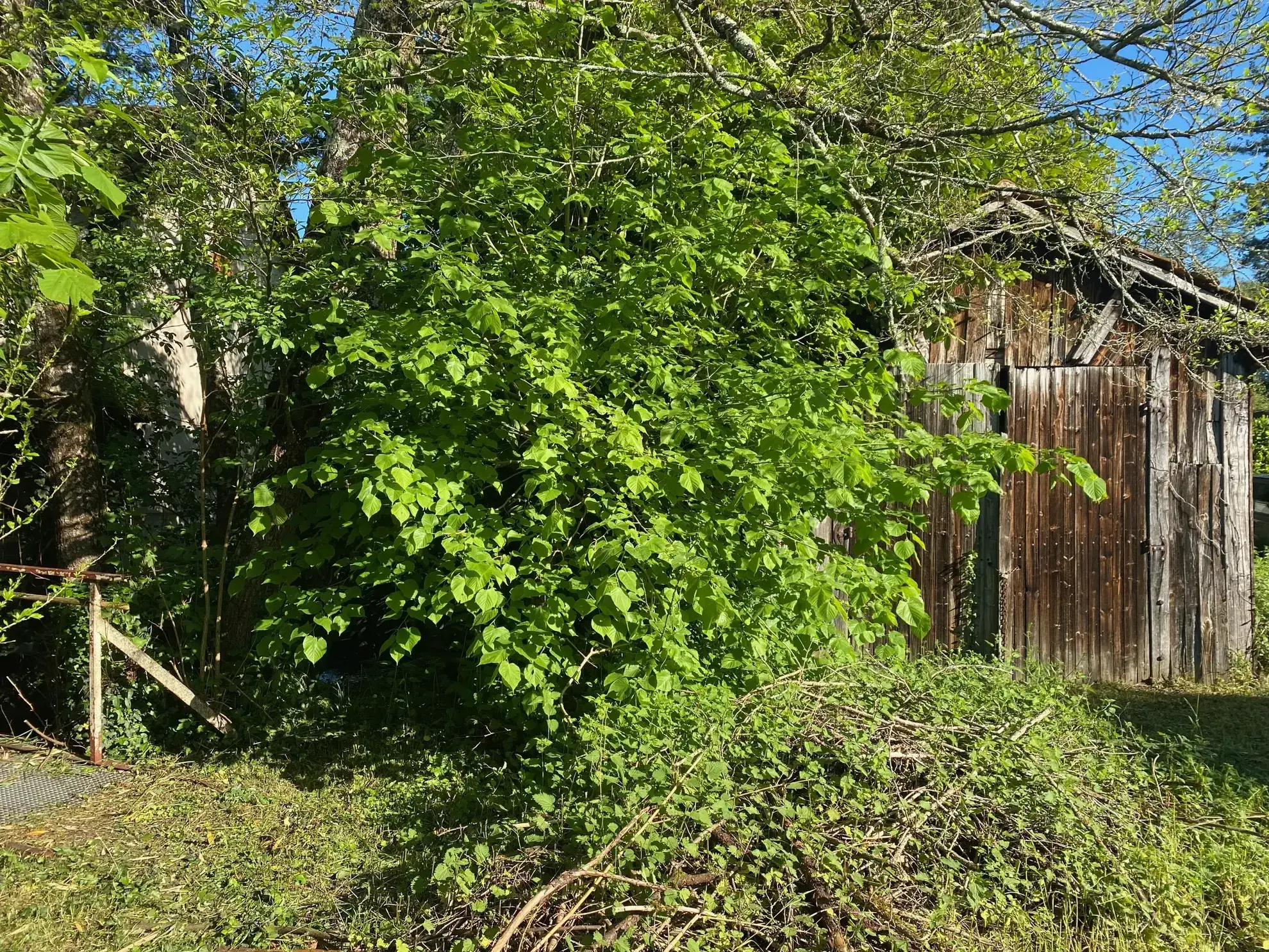 Charmante maison en pierre avec jardin à Manzac-sur-Vern en Dordogne 