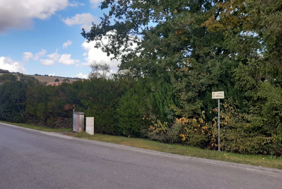 Terrain boisé de 31 ares à Puzieux, constructible et proche de Delme 