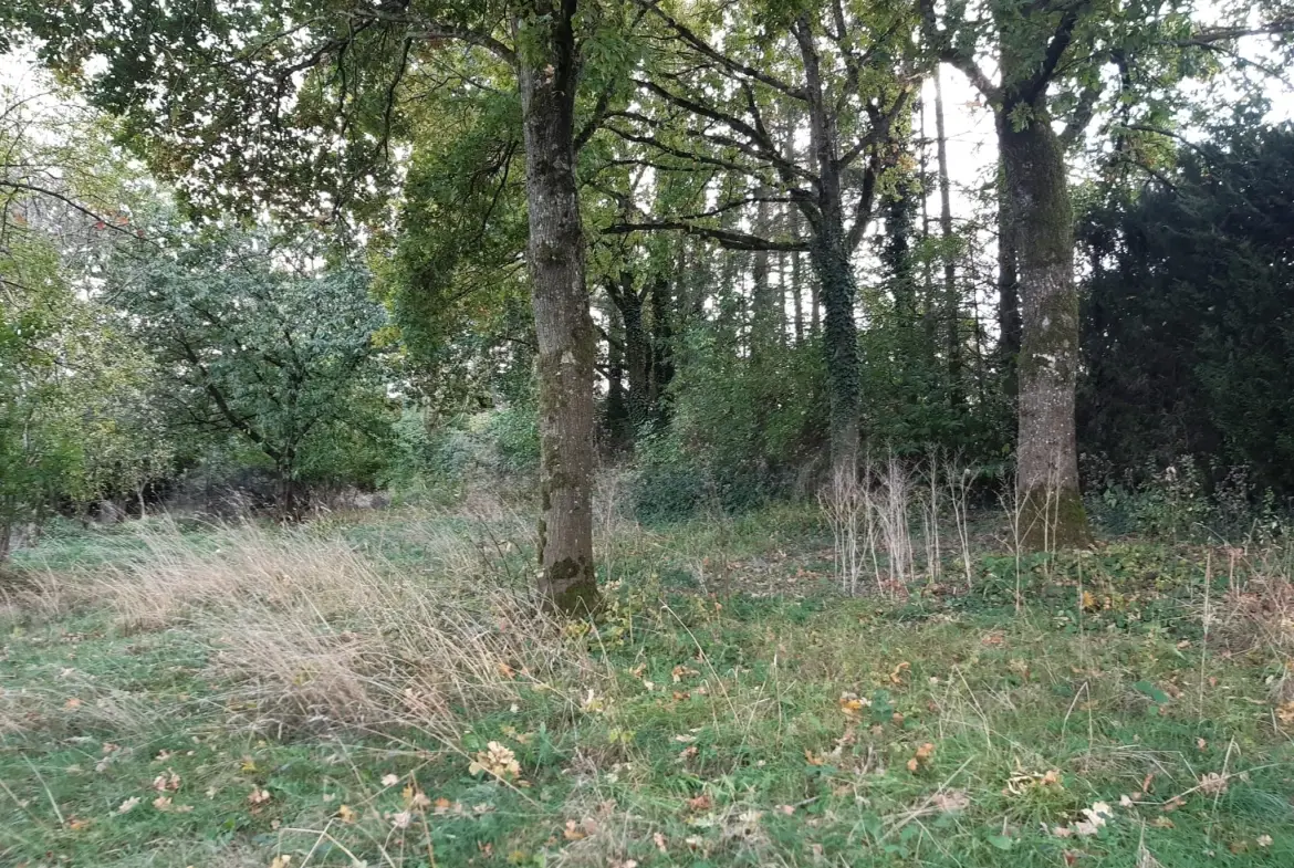 Terrain boisé de 31 ares à Puzieux, constructible et proche de Delme 