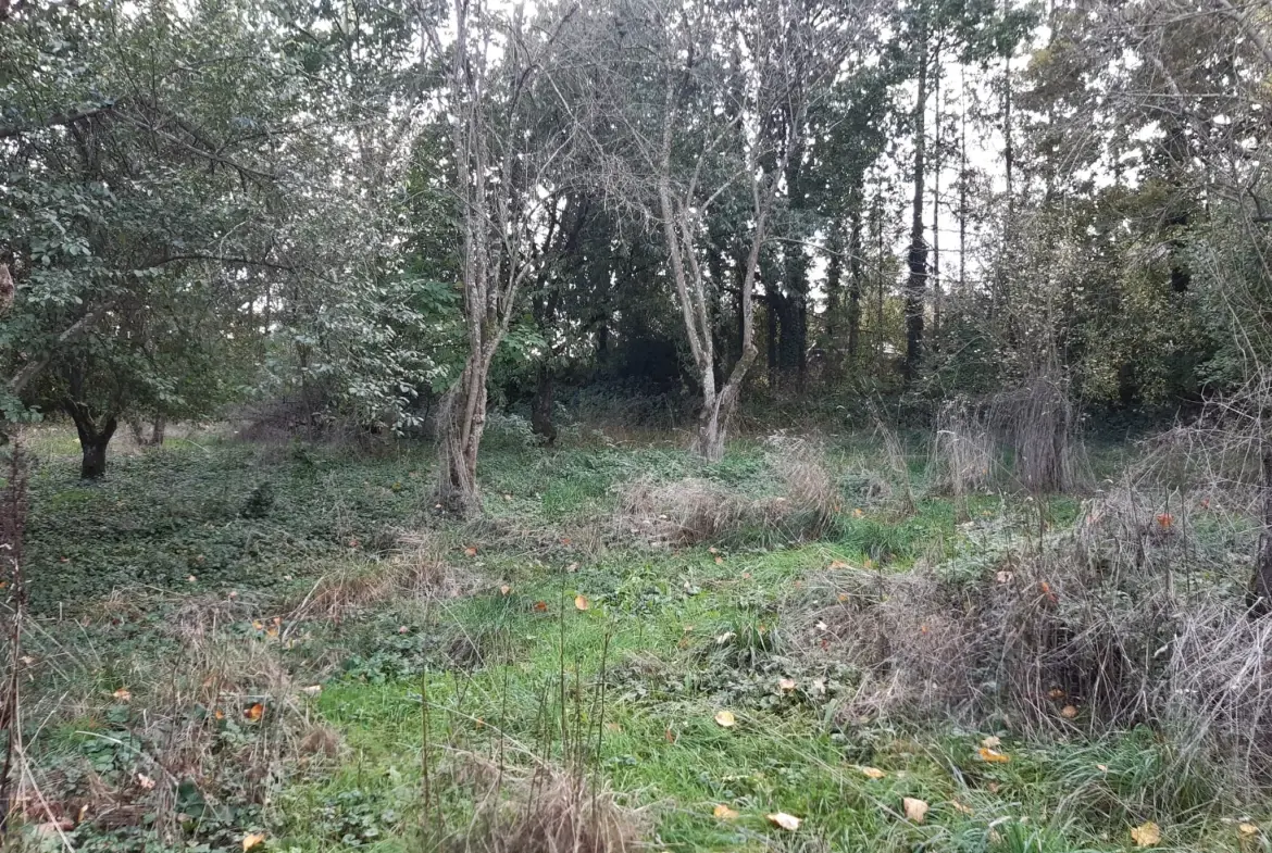 Terrain boisé de 31 ares à Puzieux, constructible et proche de Delme 