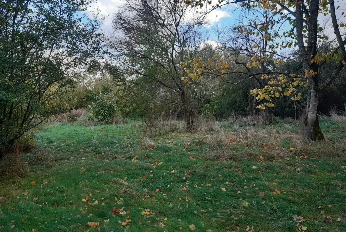 Terrain boisé de 31 ares à Puzieux, constructible et proche de Delme 