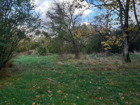 Terrain boisé de 31 ares à Puzieux, constructible et proche de Delme
