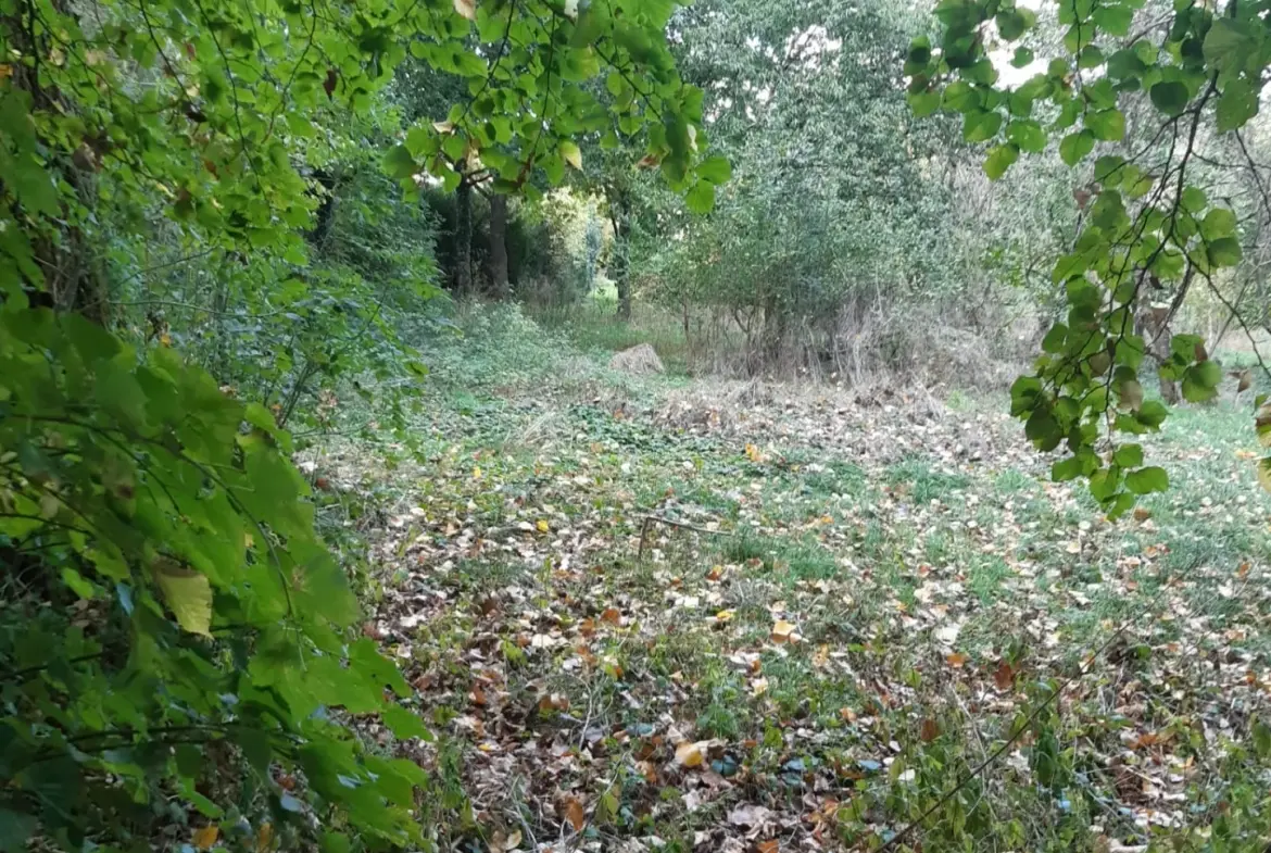 Terrain boisé de 31 ares à Puzieux, constructible et proche de Delme 