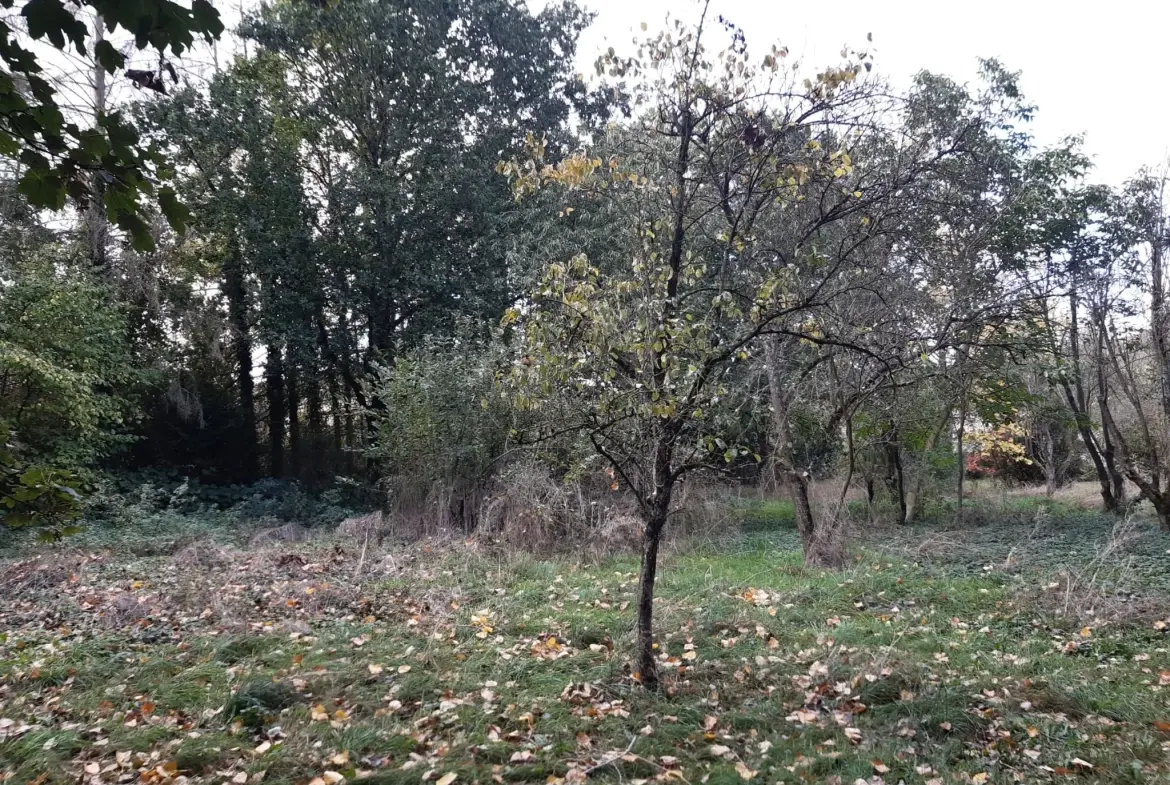 Terrain boisé de 31 ares à Puzieux, constructible et proche de Delme 
