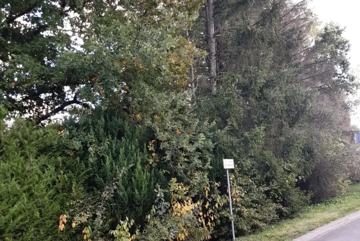 Terrain boisé de 31 ares à Puzieux, constructible et proche de Delme 