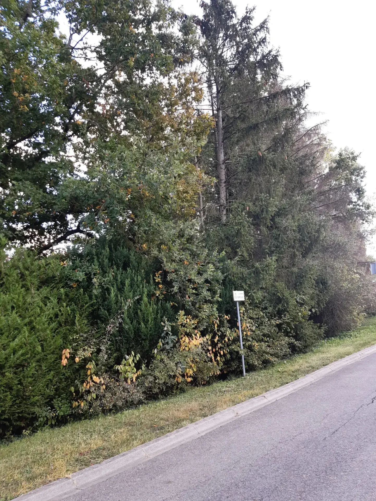 Terrain boisé de 31 ares à Puzieux, constructible et proche de Delme 