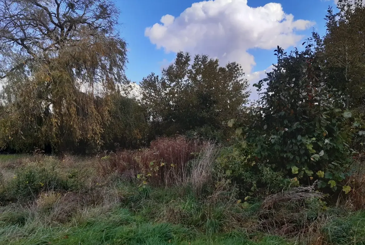 Terrain boisé de 31 ares à Puzieux, constructible et proche de Delme 