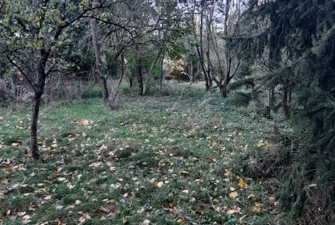 Terrain boisé de 31 ares à Puzieux, constructible et proche de Delme 