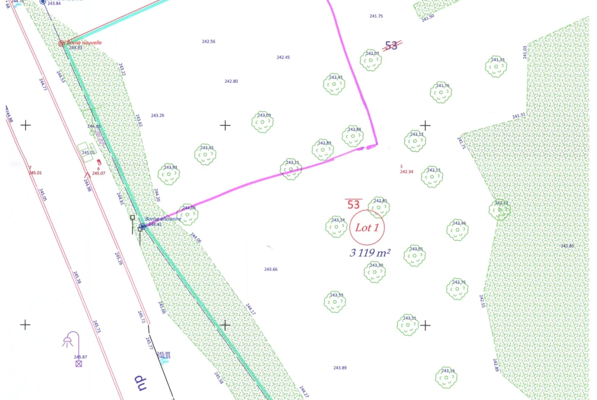 Terrain boisé de 31 ares à Puzieux, constructible et proche de Delme 