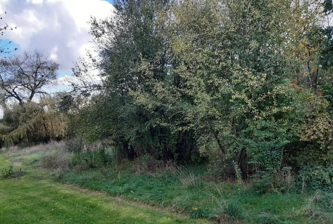 Terrain boisé de 31 ares à Puzieux, constructible et proche de Delme 