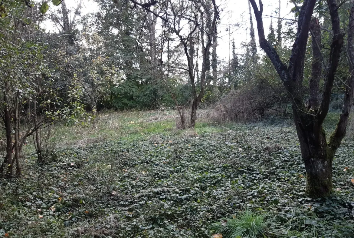 Terrain boisé de 31 ares à Puzieux, constructible et proche de Delme 