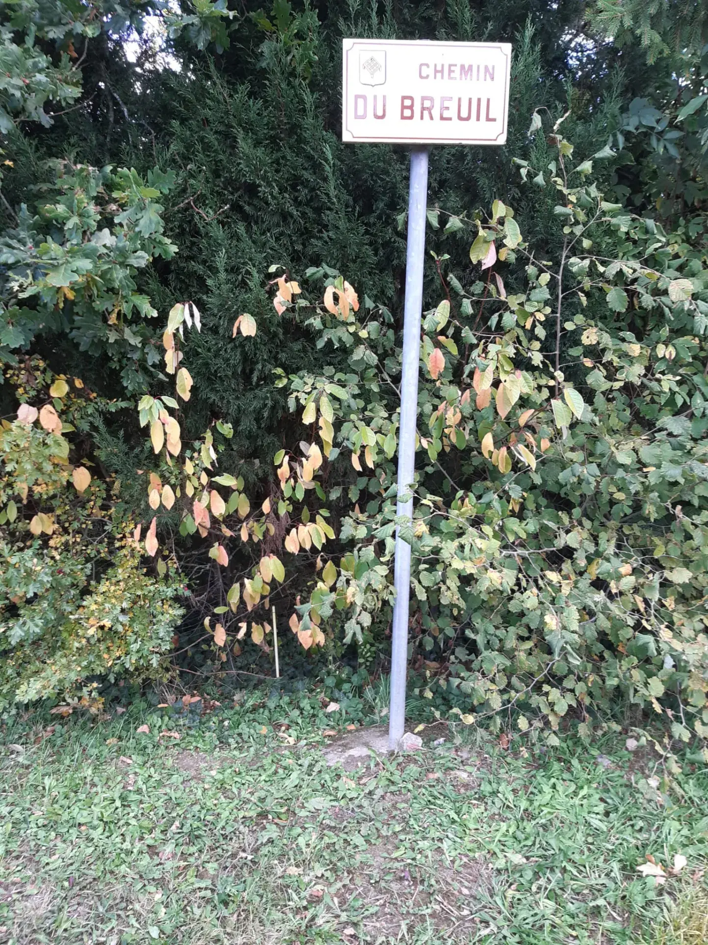 Terrain boisé de 31 ares à Puzieux, constructible et proche de Delme 