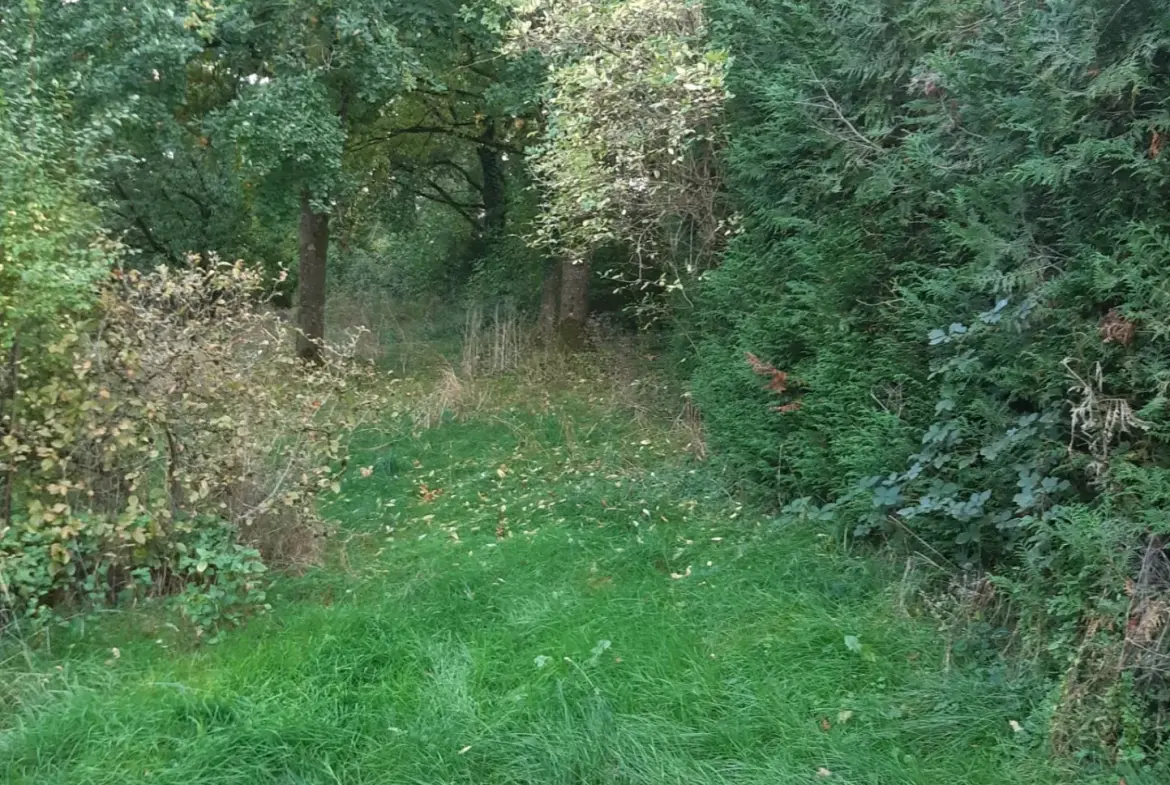 Terrain boisé de 31 ares à Puzieux, constructible et proche de Delme 