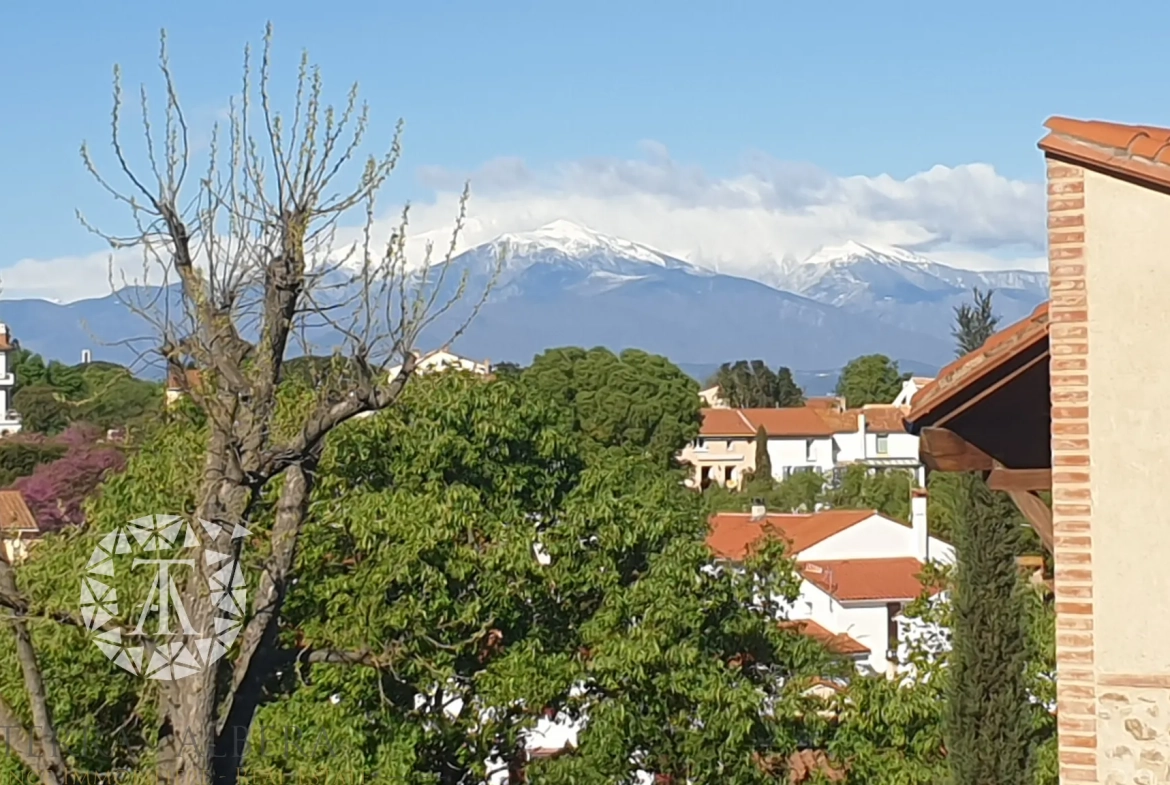 Maison de village rénovée avec garage et vue sur le Canigou à Sorede 