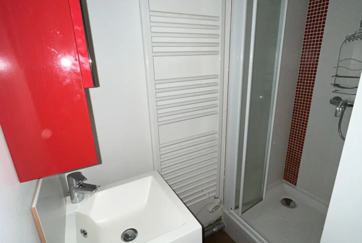 Studio de 20,5 m² à Clermont-Ferrand centre-ville, résidence calme et ancien immeuble 