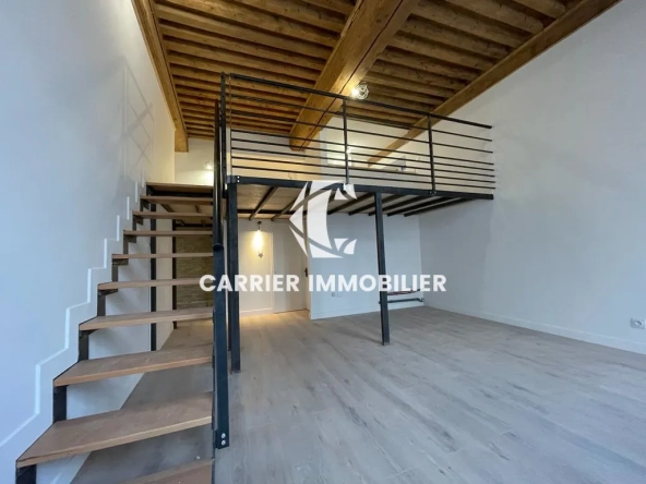 Appartement lumineux de 43,33 m² avec mezzanine à Lyon - Investissement rentable