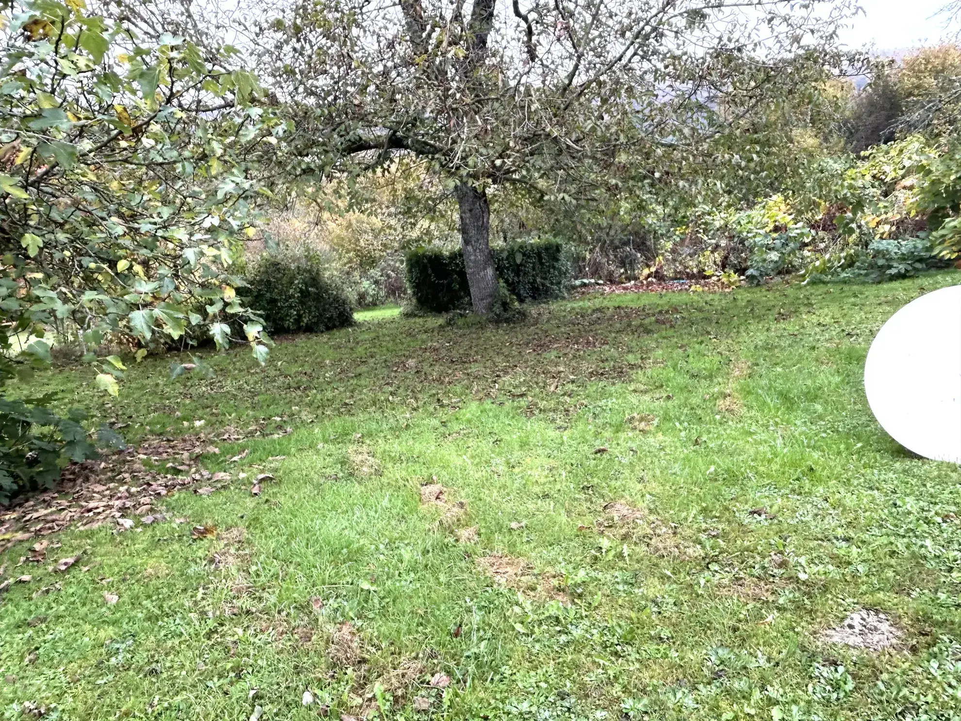 Maison à vendre à Nolay - 2 chambres, terrain de 1113 m², prix attractif 