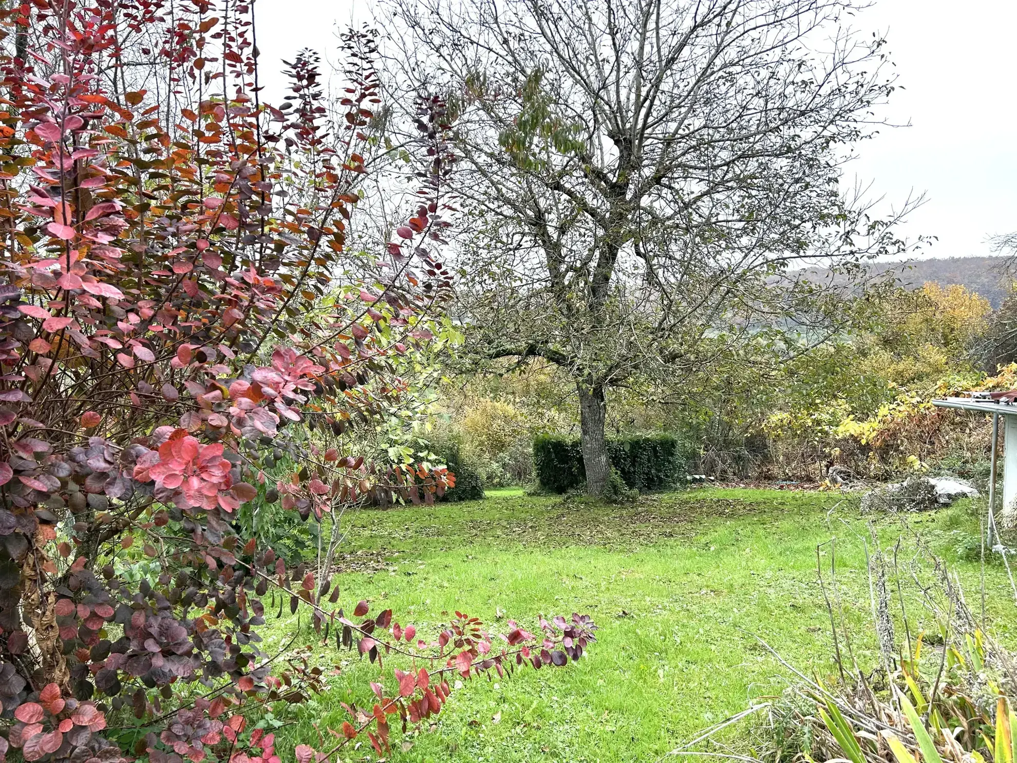 Maison à vendre à Nolay - 2 chambres, terrain de 1113 m², prix attractif 