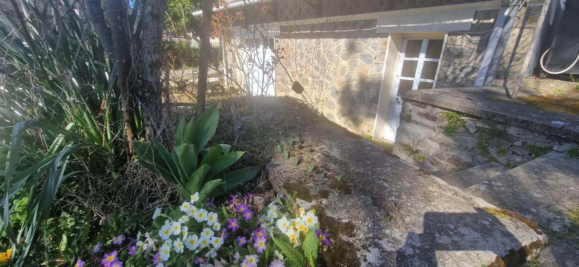 Charmante maison en pierre avec grand jardin à Lubersac, proche commodités 