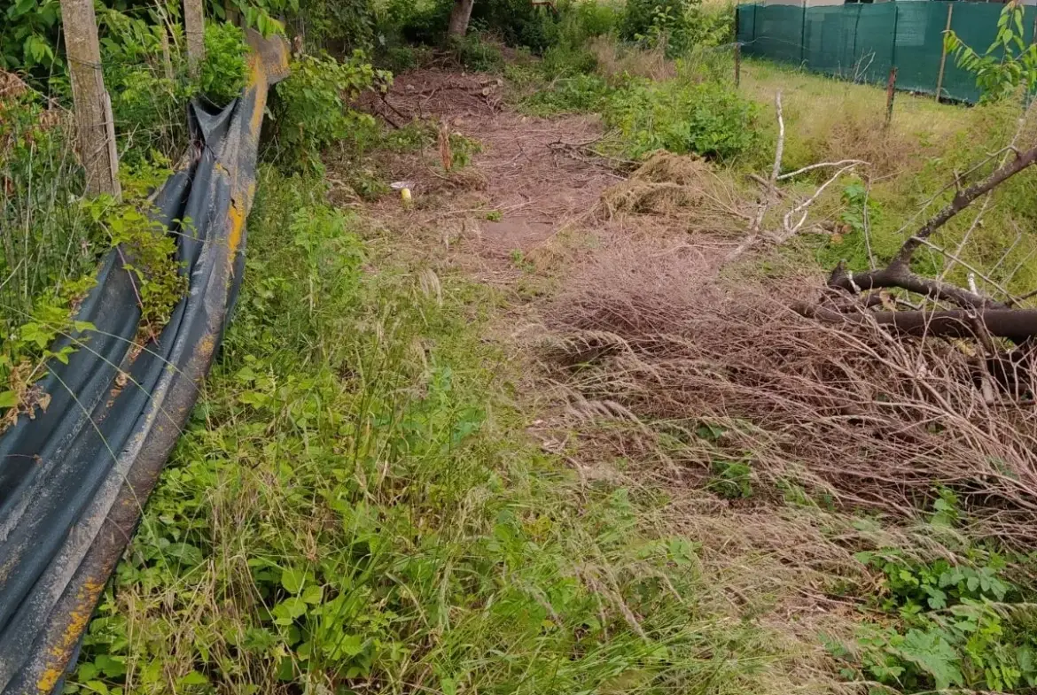 Maison semi-individuelle à Hénin Beaumont avec garage et jardin 