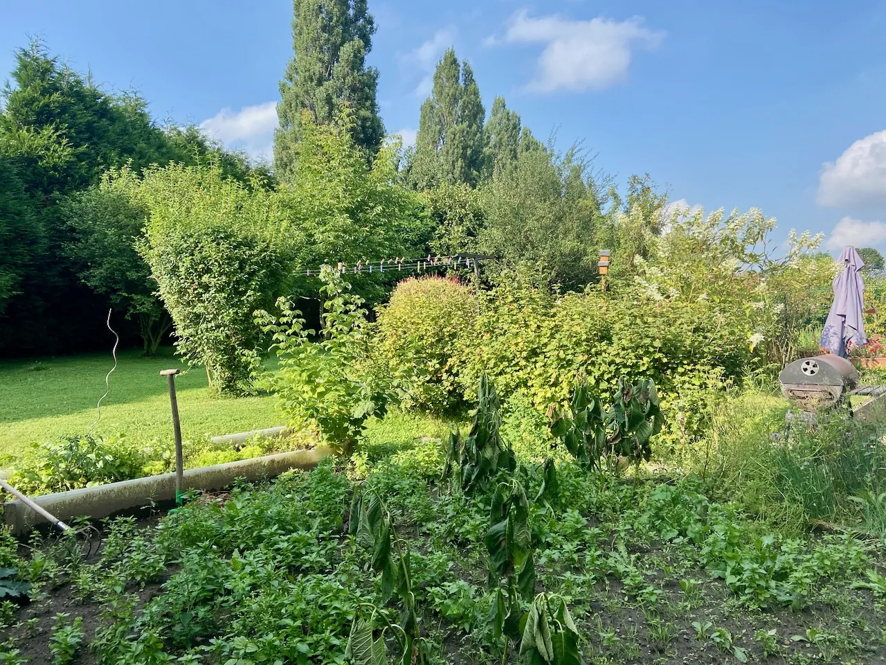 Superbe maison de 260 m² à Maubeuge avec jardin et rénovation récente 