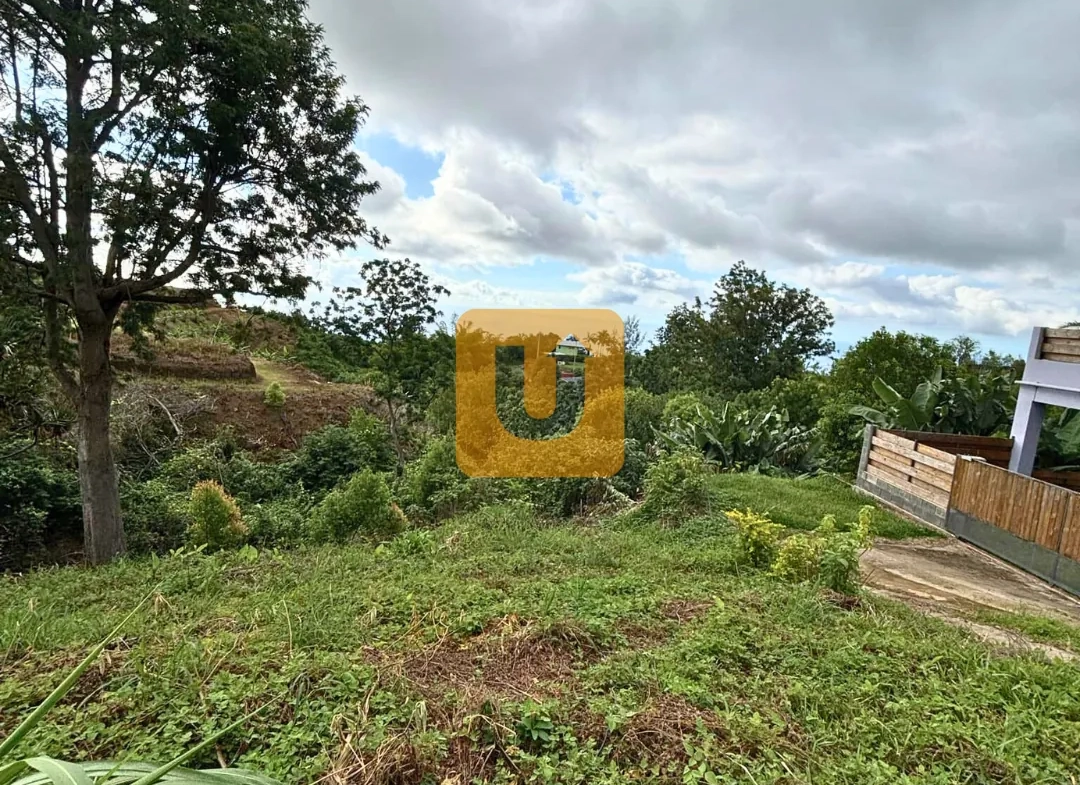 Terrain constructible de 532 m² au Guillaume, La Réunion 