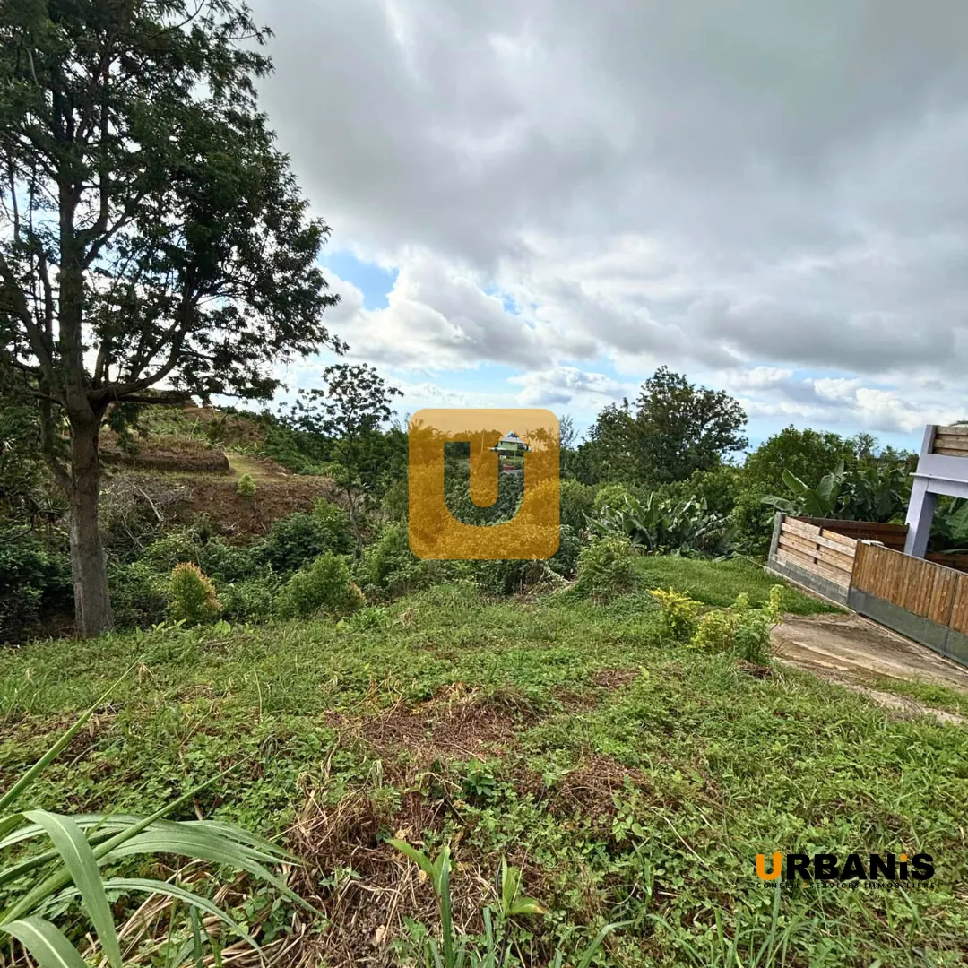 Terrain constructible de 532 m² au Guillaume, La Réunion 