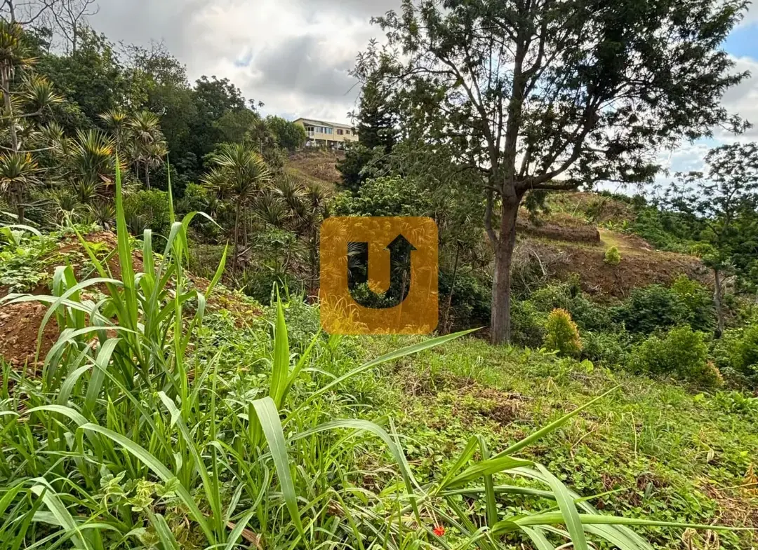 Terrain constructible de 532 m² au Guillaume, La Réunion 