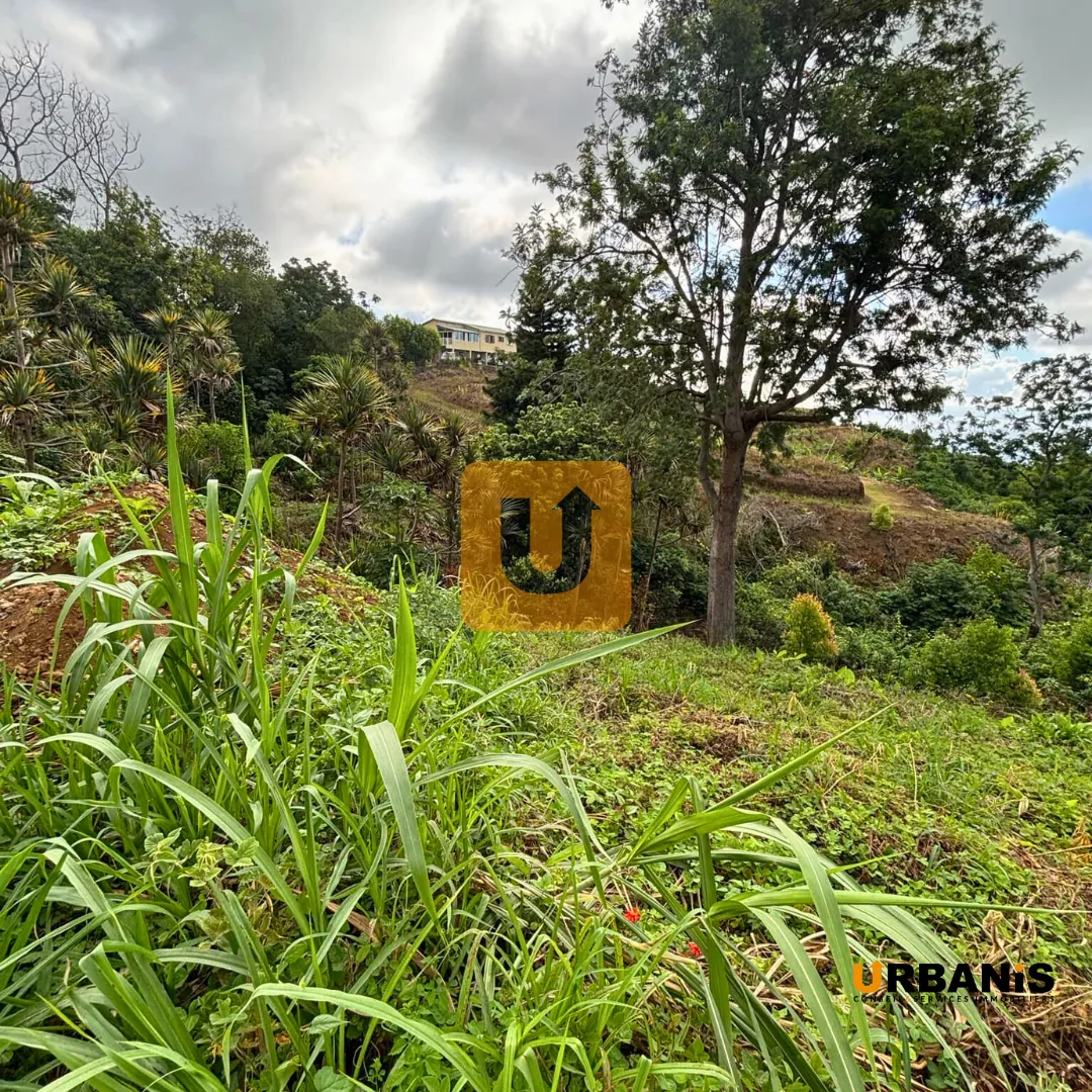 Terrain constructible de 532 m² au Guillaume, La Réunion 