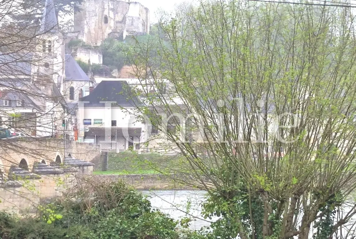Appartement T3 de 85 m2 avec grenier aménageable près de Montrichard 