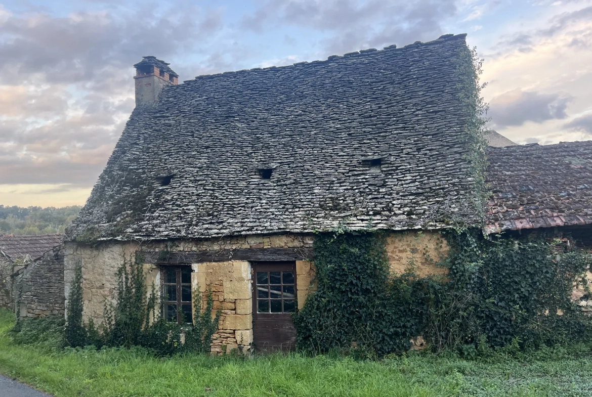 Ensemble immobilier en pierre à restaurer à Proissans près de Sarlat 