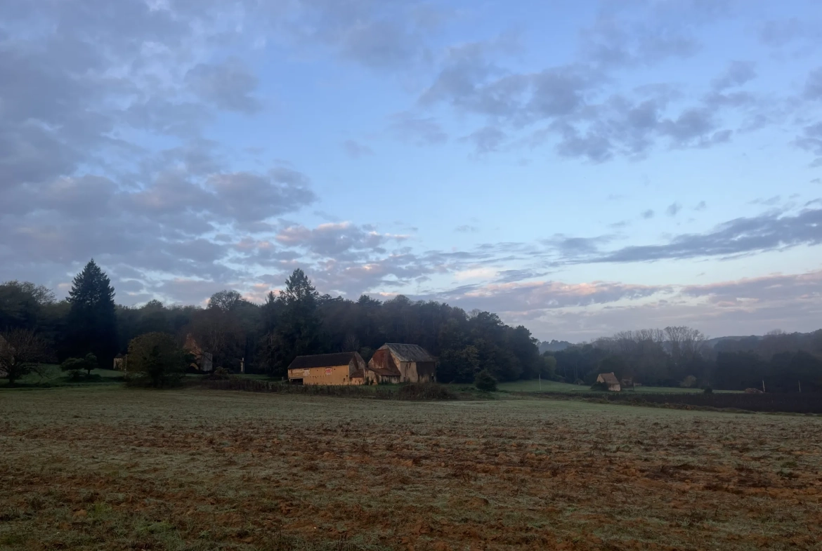 Ensemble immobilier en pierre à restaurer à Proissans près de Sarlat 