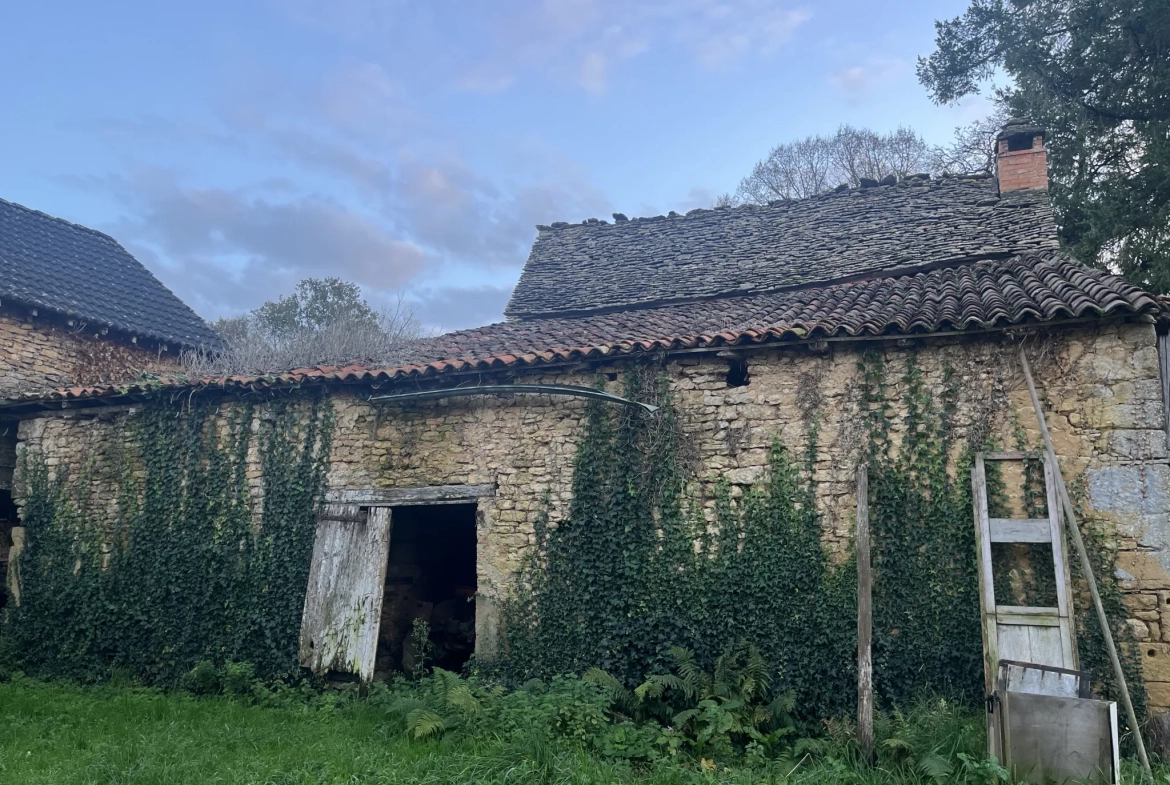 Ensemble immobilier en pierre à restaurer à Proissans près de Sarlat 