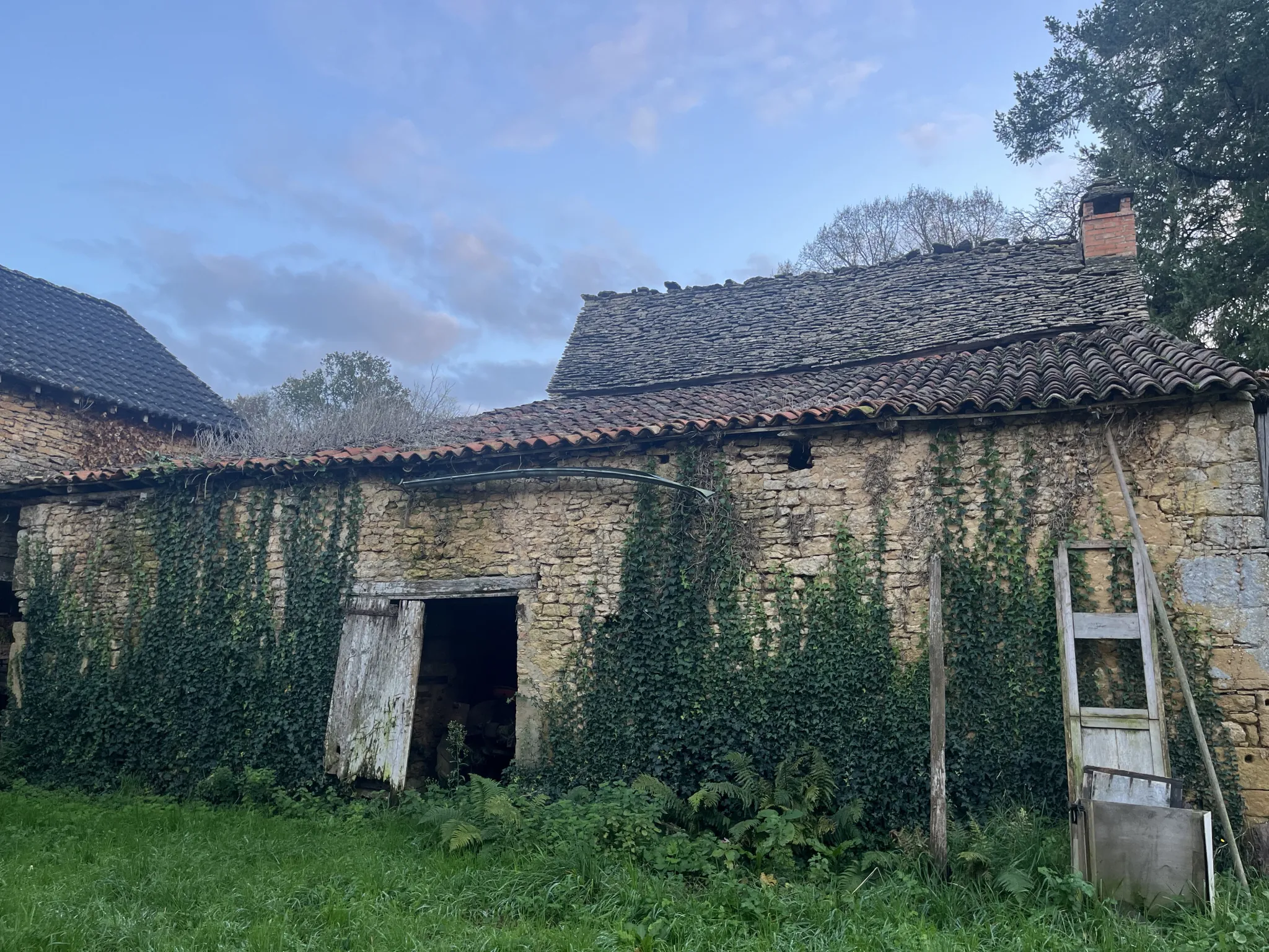 Ensemble immobilier en pierre à restaurer à Proissans près de Sarlat 
