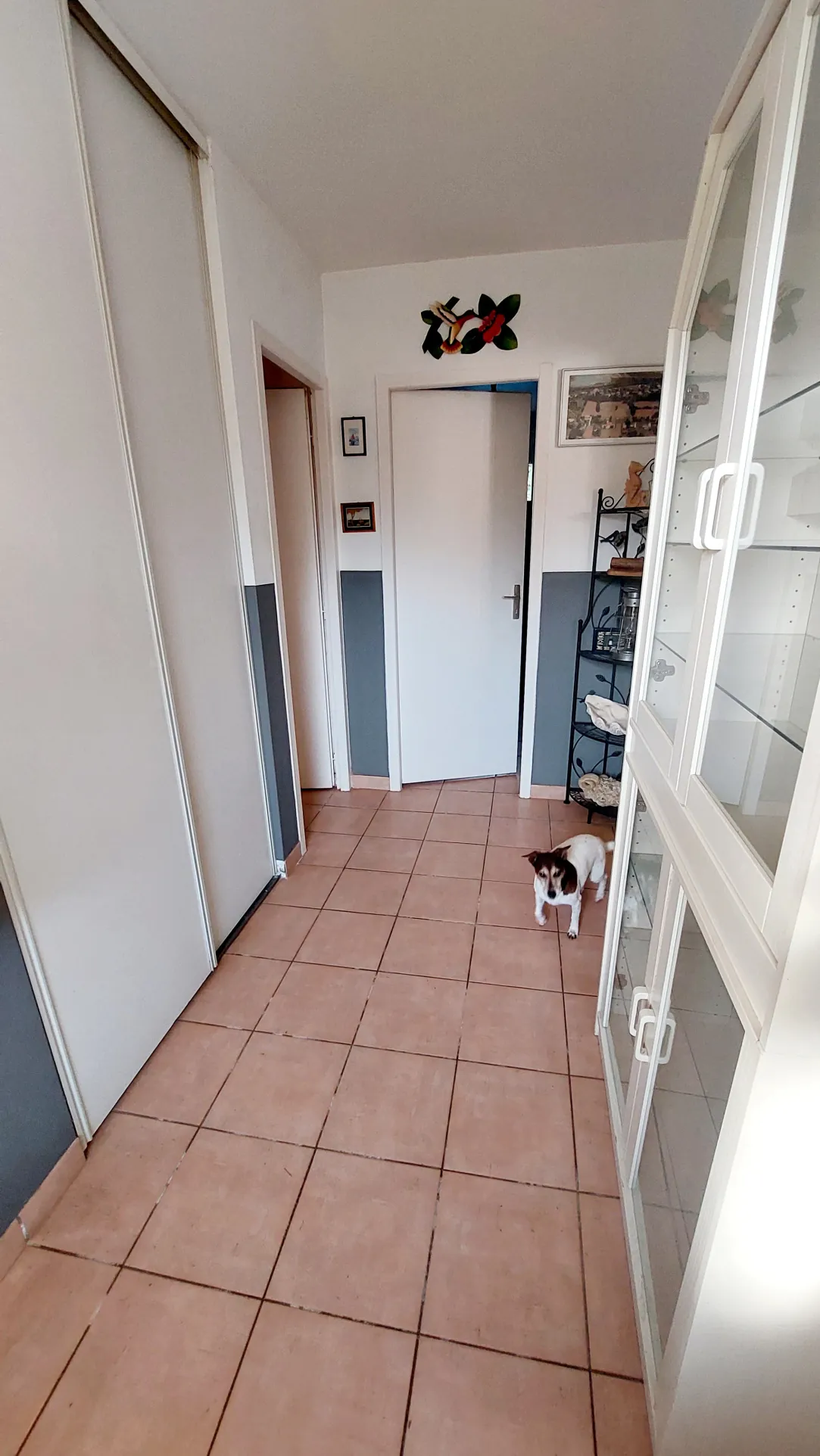 Maison 110 m² à vendre à La Réole, environnement calme et grand terrain 