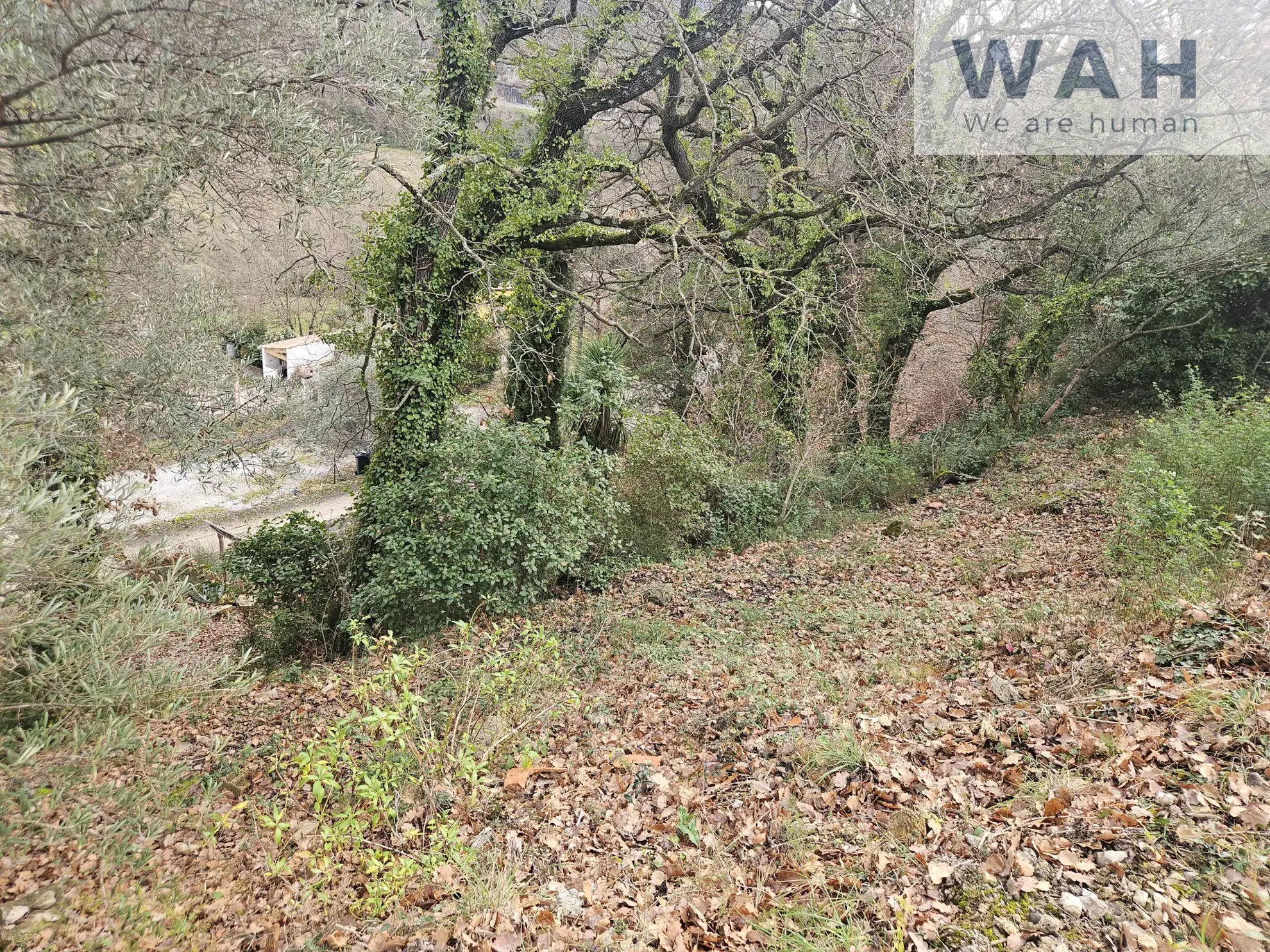 Terrain à bâtir de 430 m² à Poujols, proche Lodève, vue montagne, terrain non viabilisé 