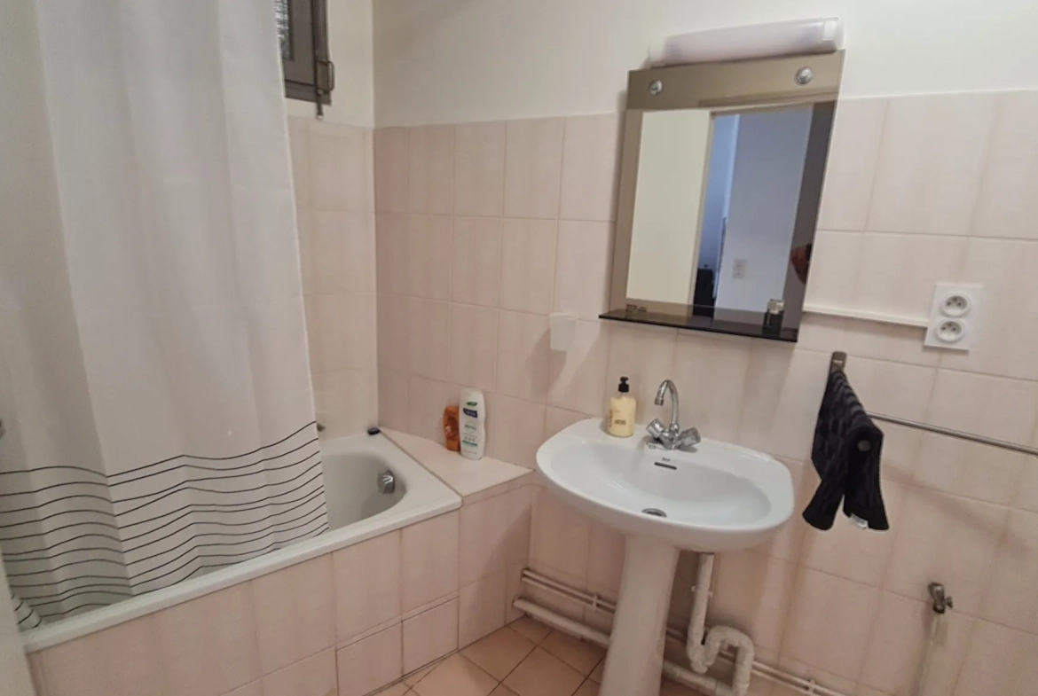 Appartement F2 avec terrasse à Amélie-les-Bains proche des thermes 
