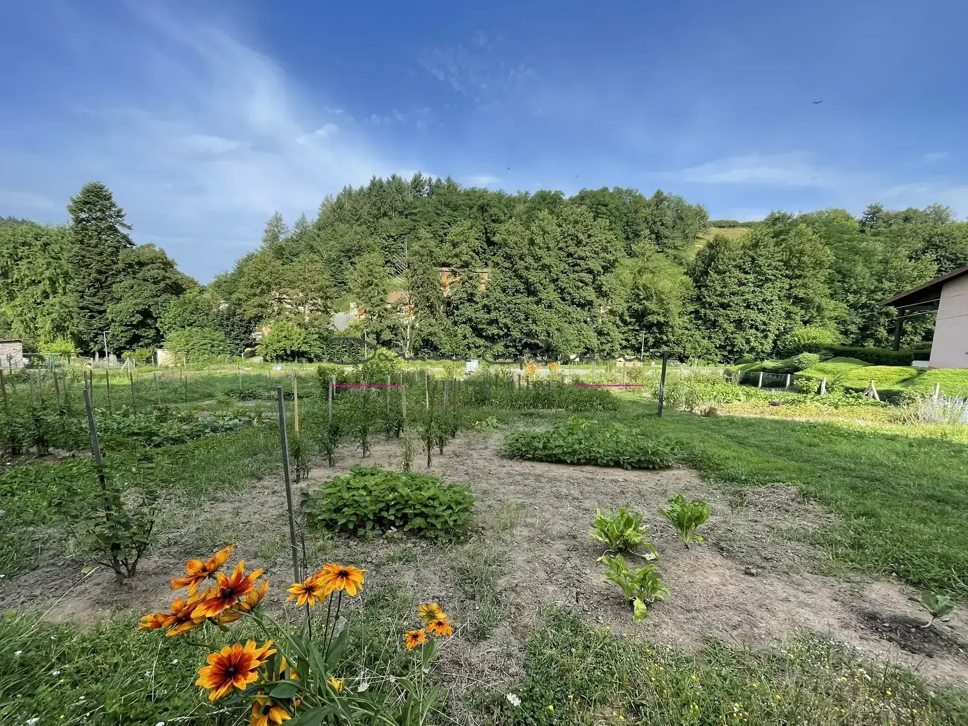 Appartement T2 bis avec cave et terrain à Amplepuis, village du 42 