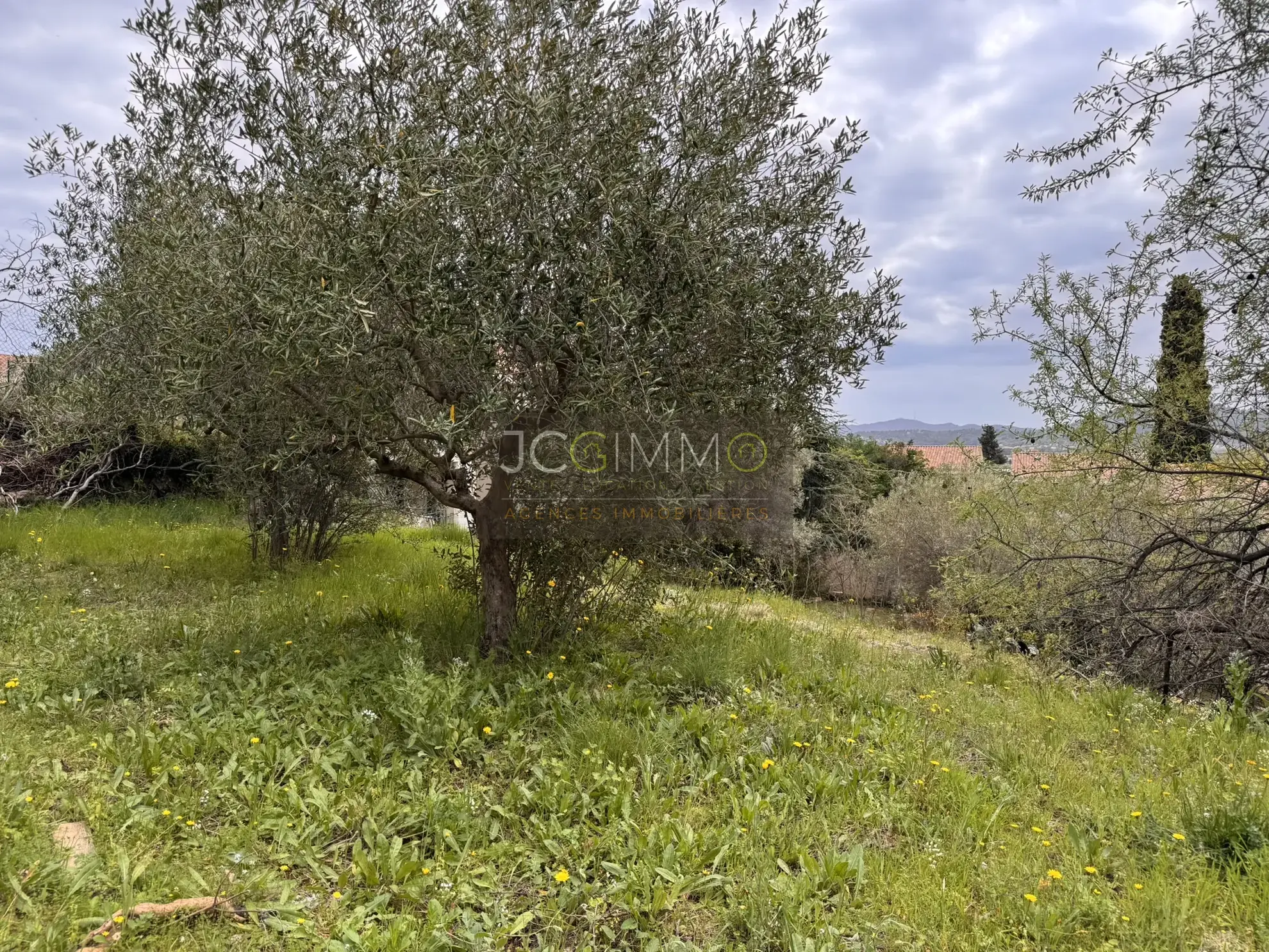 Terrain constructible de 500 m² avec vue dominante à Ollioules 