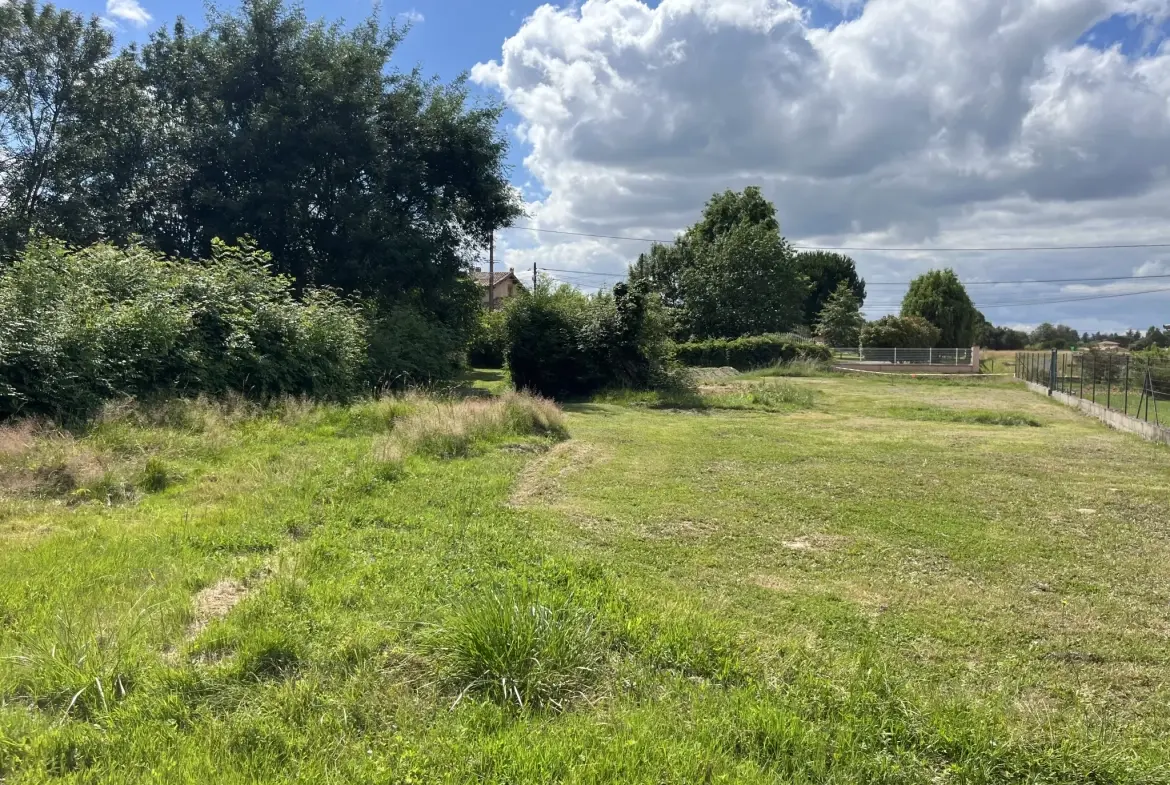 Terrain partiellement constructible de 3108 m² à Montauban - Emplacement idéal 