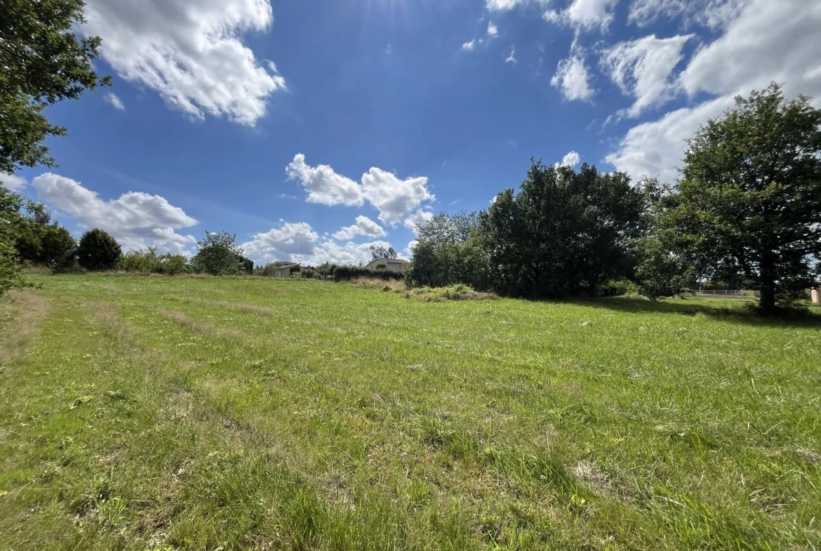 Terrain partiellement constructible de 3108 m² à Montauban - Emplacement idéal 