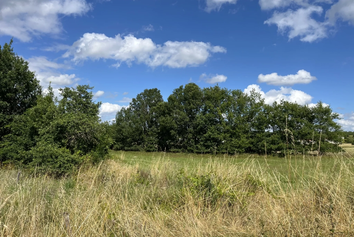 Terrain partiellement constructible de 3108 m² à Montauban - Emplacement idéal 