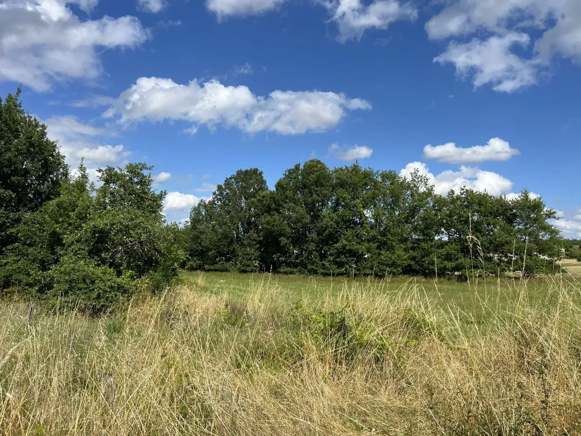 Terrain partiellement constructible de 3108 m² à Montauban - Emplacement idéal 