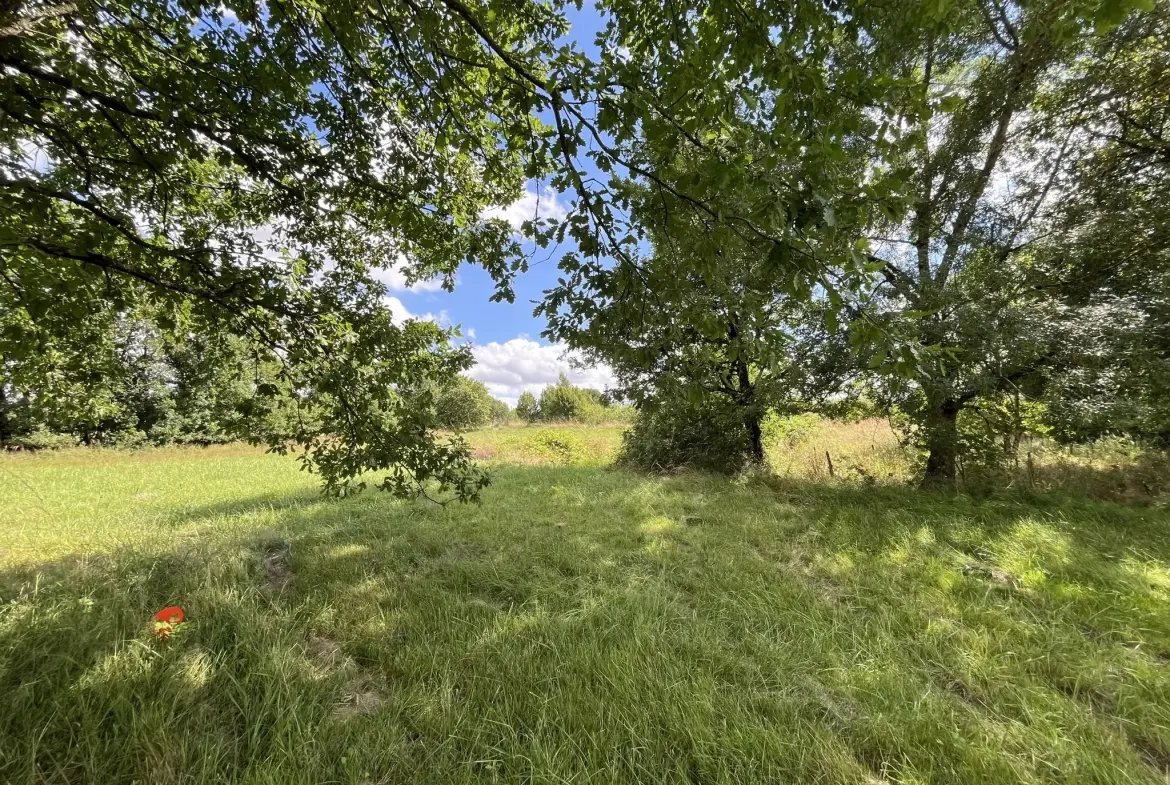 Terrain partiellement constructible de 3108 m² à Montauban - Emplacement idéal 